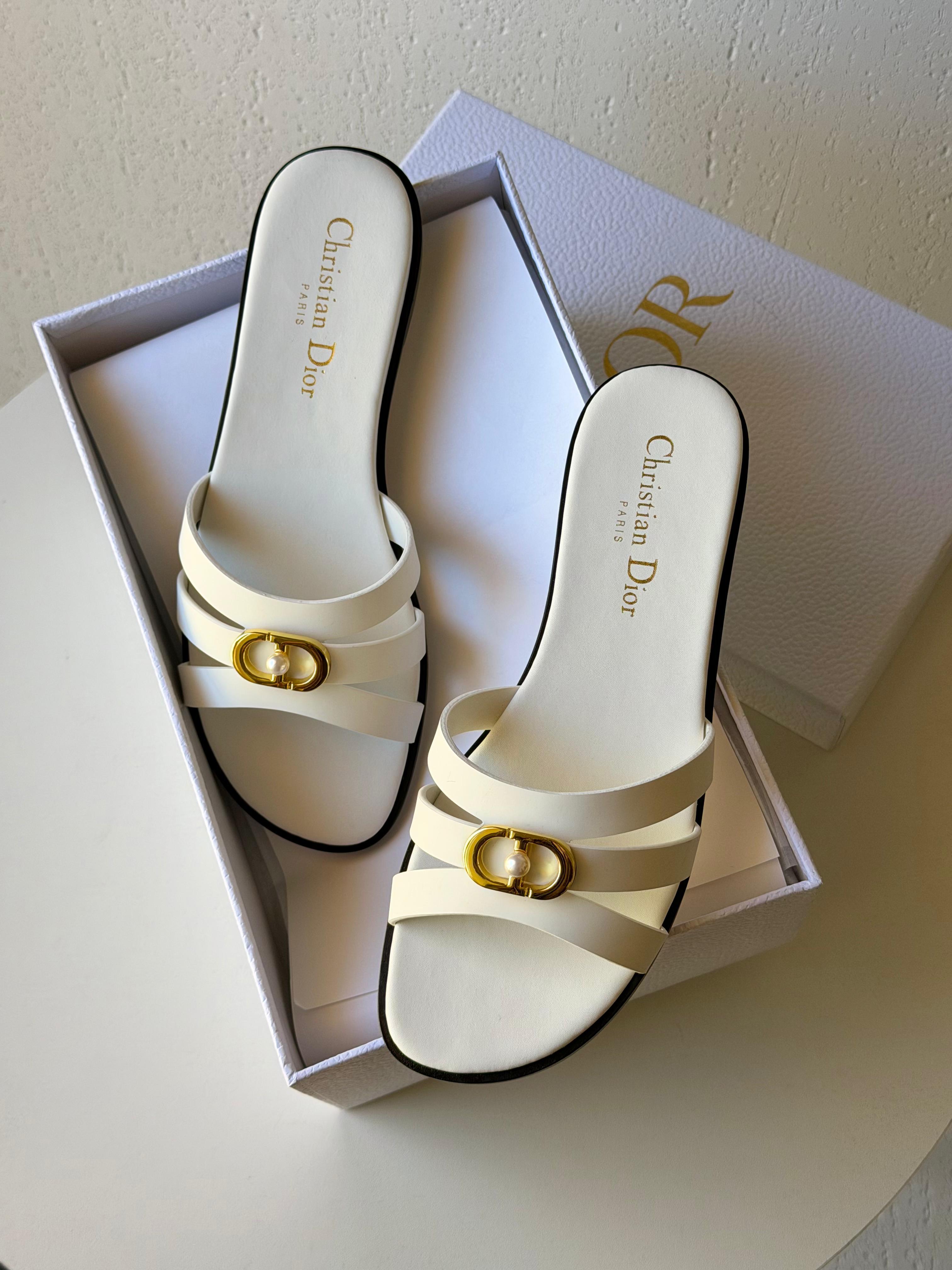 DIOR SLIDES