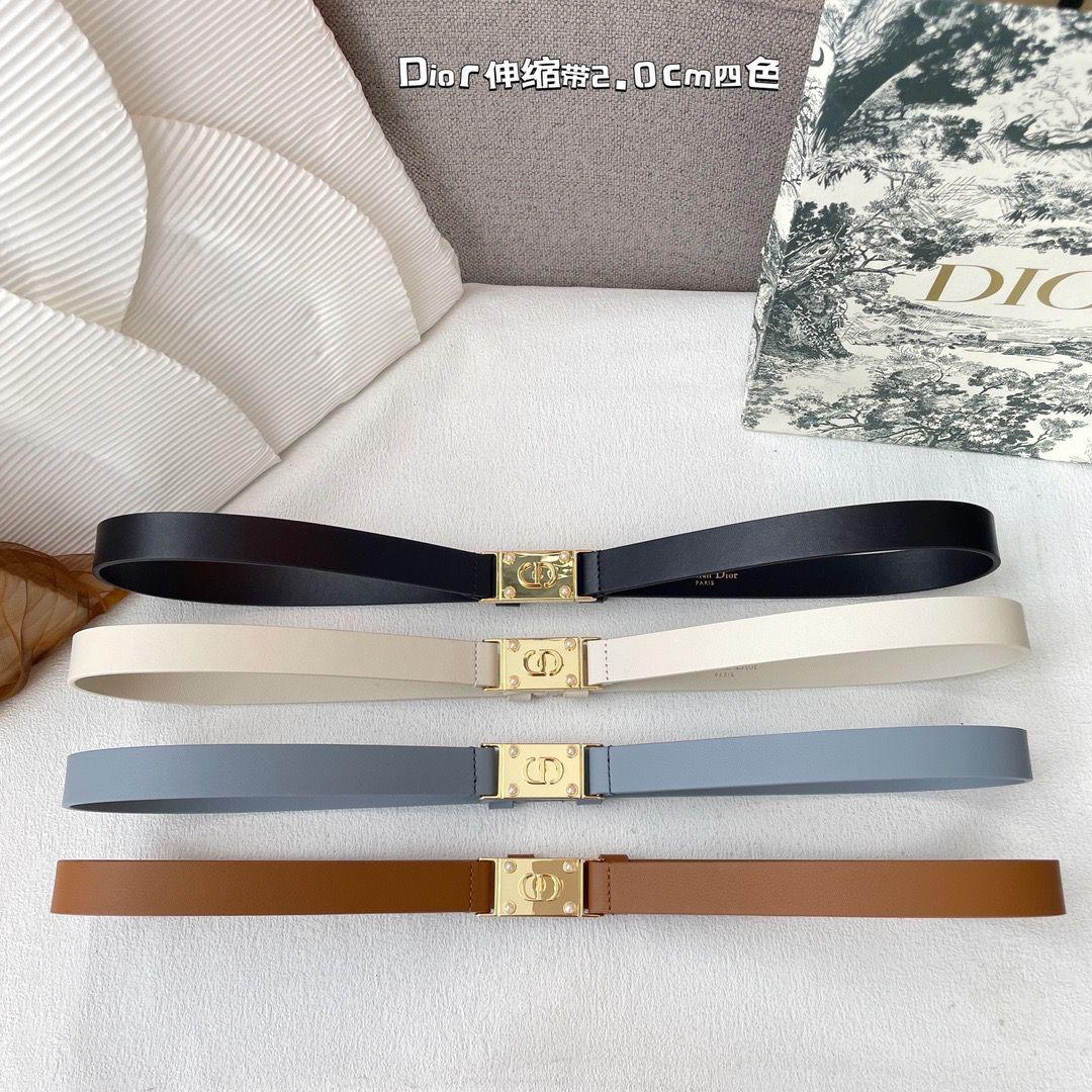 DIOR BELT